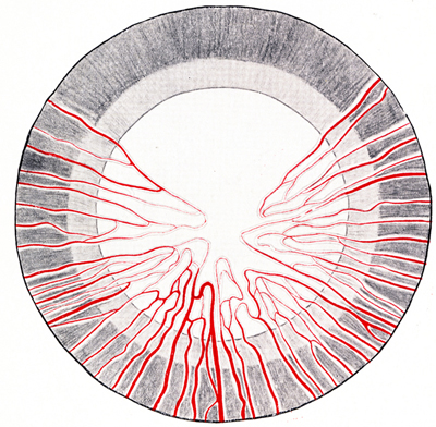 Diagrama